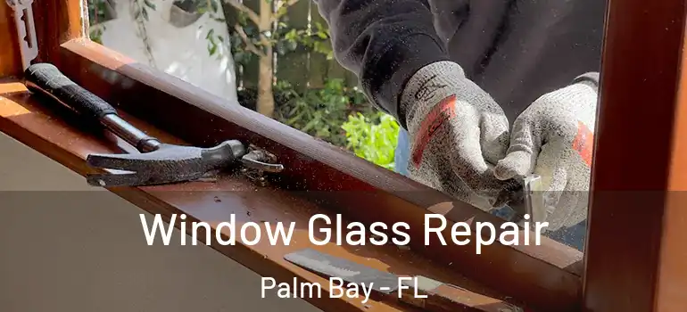 Window Glass Repair Palm Bay - FL