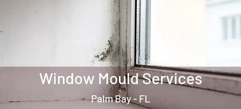  Window Mould Services Palm Bay - FL